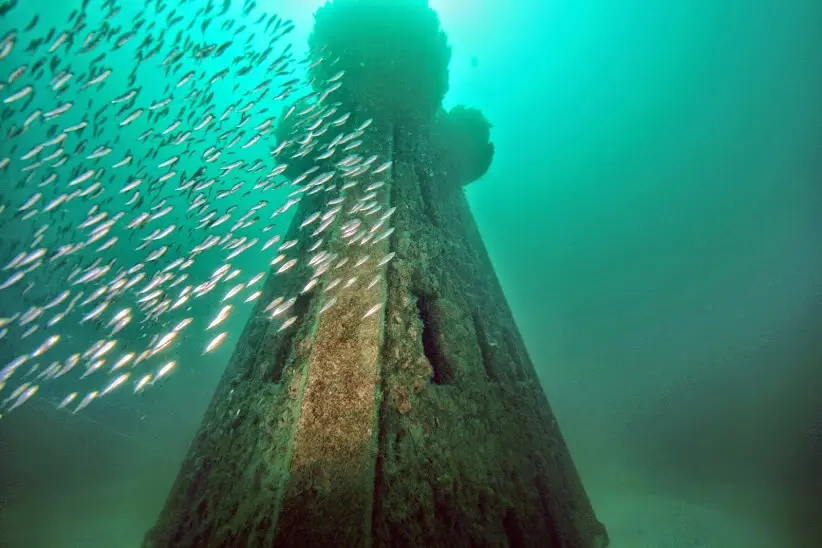 A dense school of silver baitfish swirls around a tall, weathered memorial reef tower.