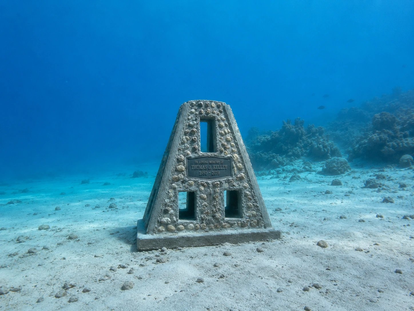 The Constellation Family Reef, a pyramid memorial reef with a personalized plaque on the sandy seafloor.